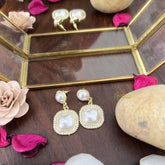 Vriksham Elegant Cubic Pearl Moti AD Stone Earring-G17727